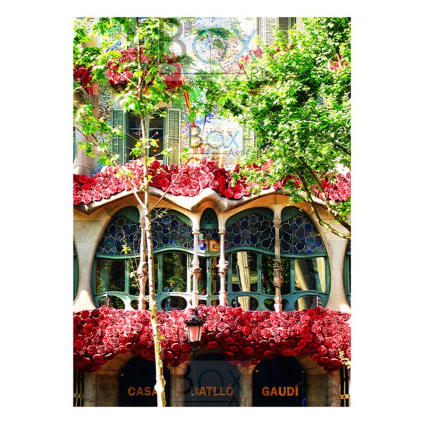 BATLLÓ SANT JORDI
